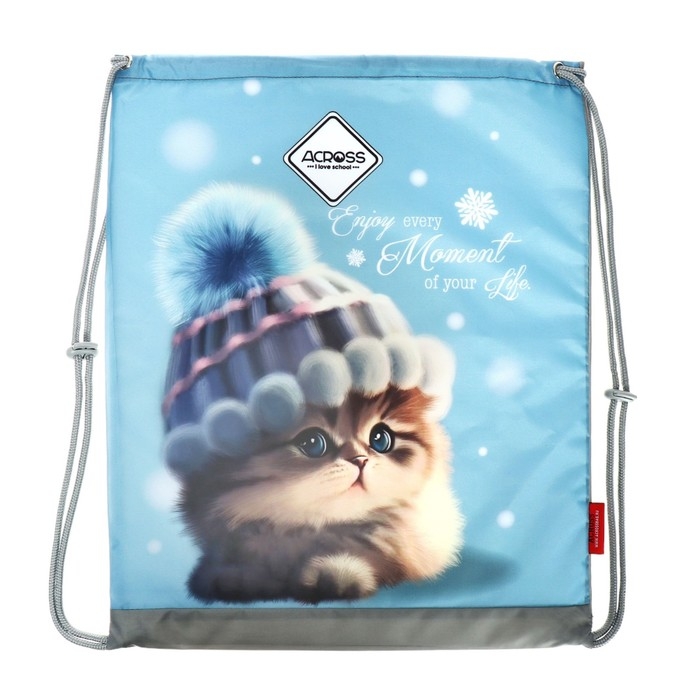 Рюкзак школьный 40х33х15см, эргономичная спинка, Across 410, голубой