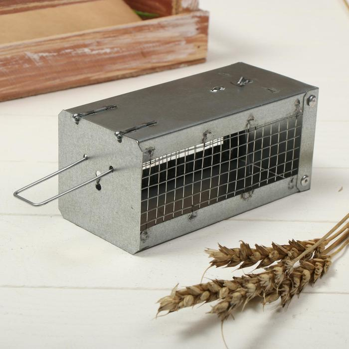 Мышеловка-ловушка (клетка), 13 &times; 6 &times; 6 см, металл
