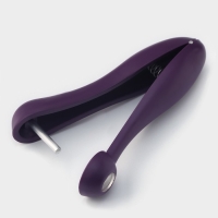 Удалитель косточек Доляна &laquo;Ловкач&raquo;, цвет фиолетовый