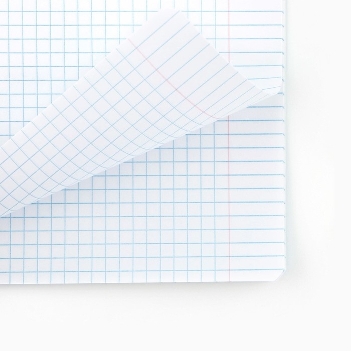 Набор первоклассника в папке для тетрадей 25 предметов &laquo;1 сентября Учусь на 5+&raquo;