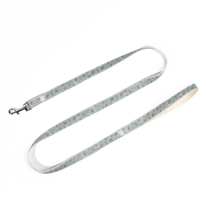 Комплект с мягкой шлейкой Комплект с мягкой шлейкой "Веточки", размер S, поводок 120 х 1,5 см, ОГ 28-62 см, зеленый