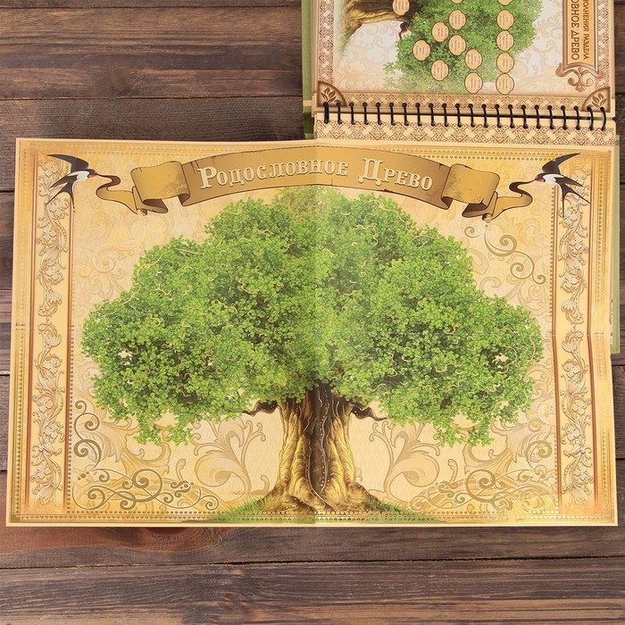 Родословная книга &laquo;Семейная летопись&raquo;, 30 листов, 24,5 х 29,2 см