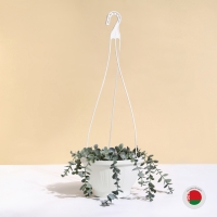 Кашпо подвесное, 2 л, пластик, белое Кашпо подвесное, 2 л, пластик, белое