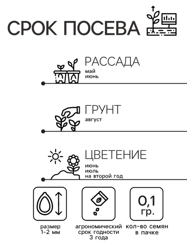 Семена цветов Нивянник, многолетний, белый 0,1 г