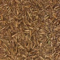 Газон Микс "Мой Выбор" 3кг Газон Микс "Мой Выбор" 3кг