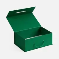 Коробка New Case, зеленая