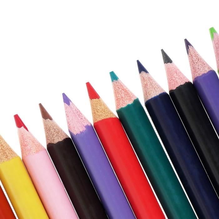 Карандаши 24 цвета Calligrata, заточенные, трехгранные, пластиковые, картонная упаковка, европодвес Карандаши 24 цвета Calligrata, заточенные, трехгранные, пластиковые, картонная упаковка, европодвес