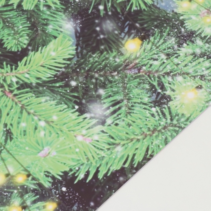 Фотофон двусторонний картон плотность 350 гр Фотофон двусторонний картон плотность 350 гр "Ёлочные ветки и подарки" 50х50 см