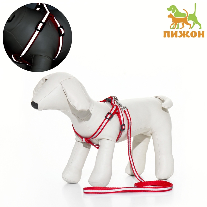 Комплект со светоотражающей лентой, ошейник 120 х 1 см, ОГ 26-40 см, красный