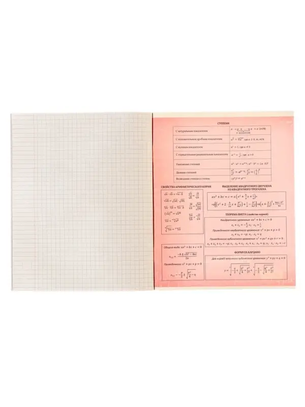 Тетрадь предметная 48 листов в клетку Calligrata &laquo;3D. Алгебра&raquo;, серые листы