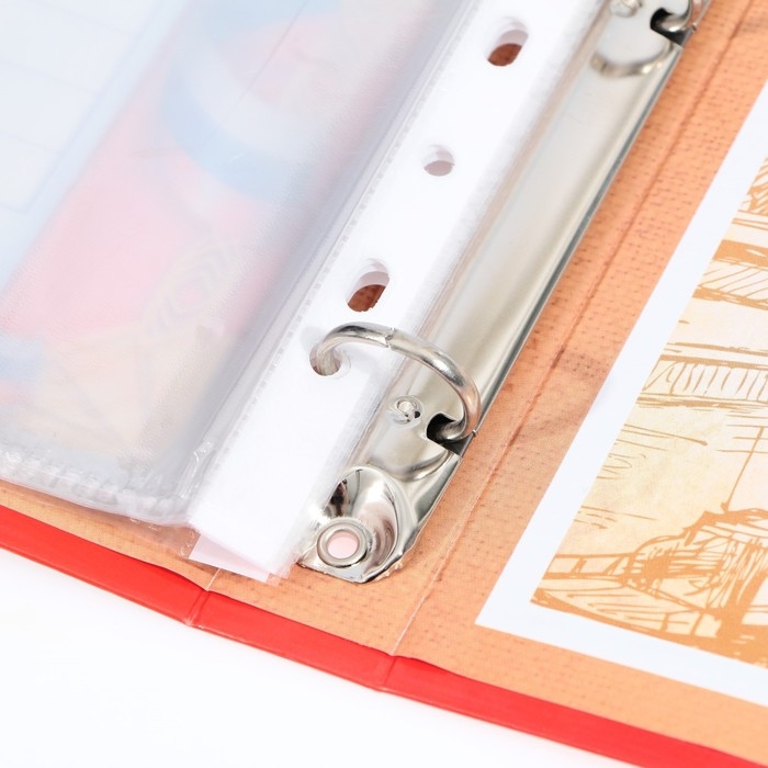 Папка школьная на кольцах &laquo;Портфолио школьника&raquo;, 10 листов-разделителей, 24,5 х 32 см.