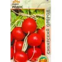 Семена Редис "Родос" 2 г
