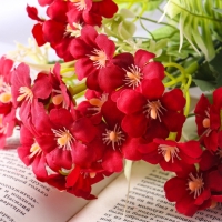 Букет "Пеларгония махровая" 29 см, микс