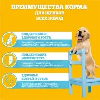 Влажный корм Pedigree для щенков, говядина в соусе, пауч, 85 г
