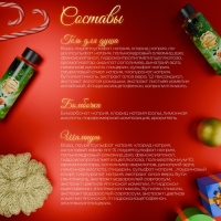 Новогодний подарочный набор косметики &laquo;Снежное царство&raquo;, с ароматом мандарина и корицы. Зеленая серия