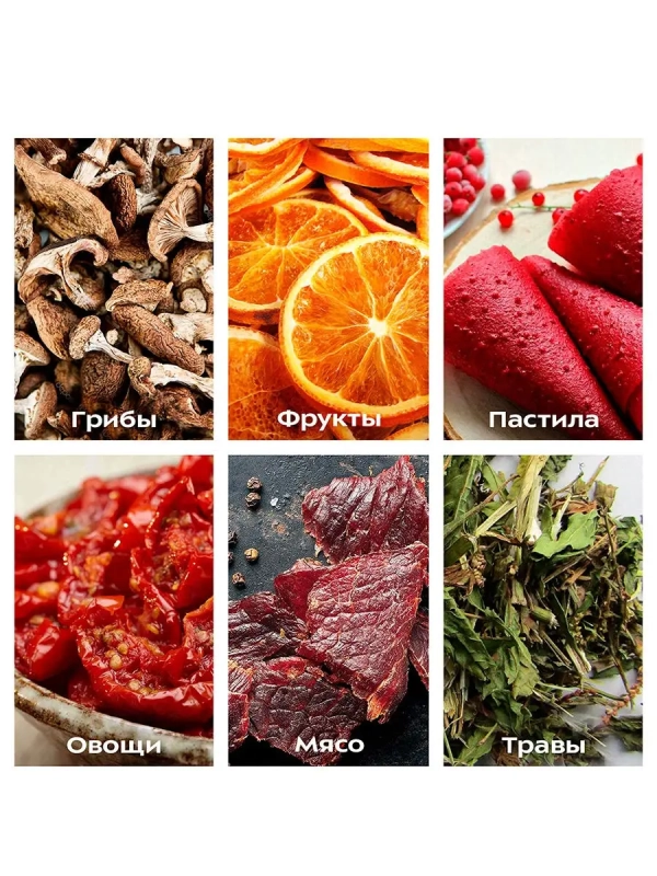 Сушилка для овощей и фруктов КТ-1917 - 400 Вт