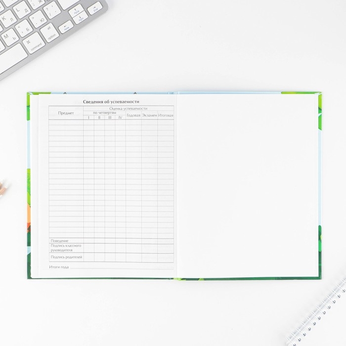 Дневник школьный 1-4 класс &laquo;1 сентября:Пират&raquo;, твердая обложка 7БЦ, глянцевая ламинация, 48 листов