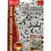 Семена цветов Алиссум Гига Белый (Giga White)  5м.др. 12.29 г.