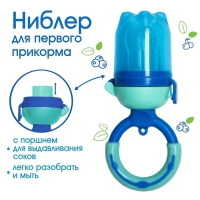 Ниблер для прикорма &laquo;Ежевика&raquo;, с силиконовой сеточкой, цвет синий
