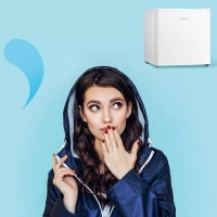 Холодильник RCD76WH1R, 43л, мороз отсек, однокамерный, белый