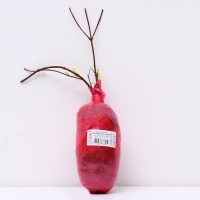 Дейция гибридная (Серия Патио) Люкс &laquo;Распберри Сандей&raquo;, саженец декоративный, цветущий, 1 шт., туба