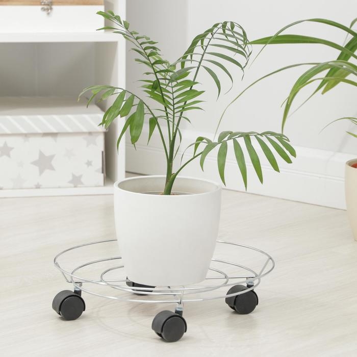 Подставка для цветов на колёсиках Доляна, 32&times;32&times;10 см, цвет хром