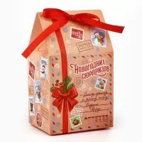 Упаковка для кондитерских изделий &laquo;Новогодних сюрпризов&raquo;, 8 х 10 х 16 см