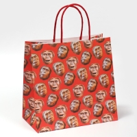 Пакет подарочный, упаковка, &laquo;Обезьяна&raquo;, 22 х 22 х 11 см