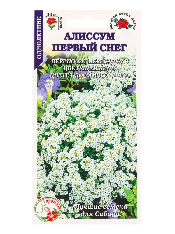 Семена Алиссум Первый снег белый /Сотка/ 0,05 г/*1500