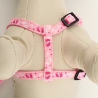 Комплект "Цветные следы", ширина 1 см, поводок 120 см, шлейка 23-35 см, розовый Комплект "Цветные следы", ширина 1 см, поводок 120 см, шлейка 23-35 см, розовый