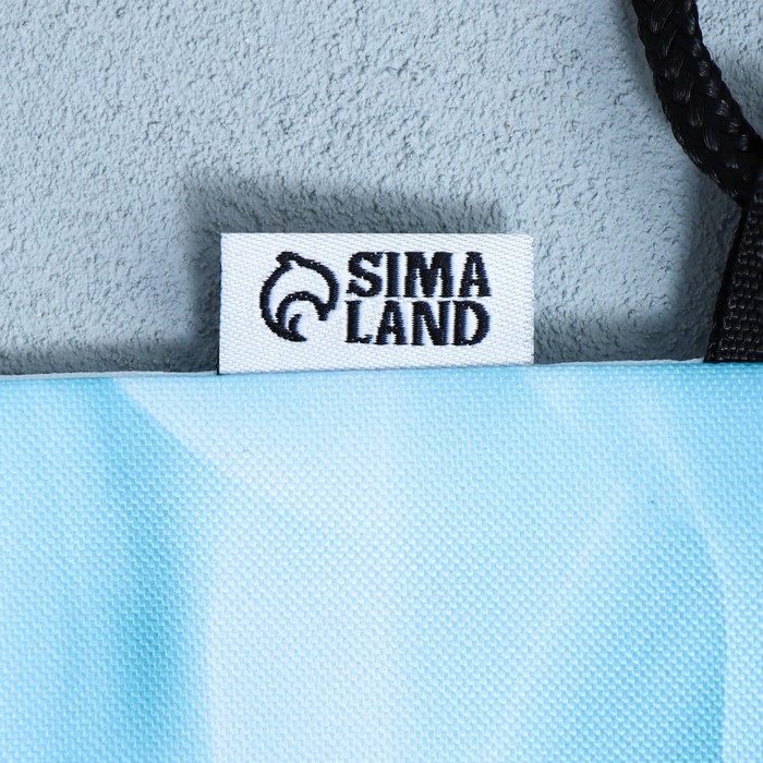 Мешок для обуви &laquo;Милый котик&raquo; 2 секции, 30&times;40 см