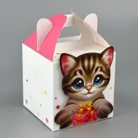 Подарочная коробка, упаковка &laquo;Котик&raquo; 10&times;10&times;10 см