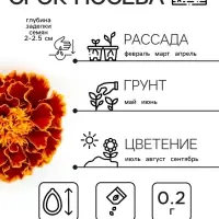 Семена цветов Бархатцы "Болеро", 0,2 г