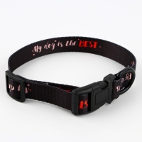 Ошейник My dog is the best, застёжка - фастекс, 2 см 25-40 см Ошейник My dog is the best, застёжка - фастекс, 2 см 25-40 см