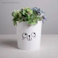 Кашпо для цветов &laquo;Мордочка&raquo;, 1,6 л, 14 х 14 см