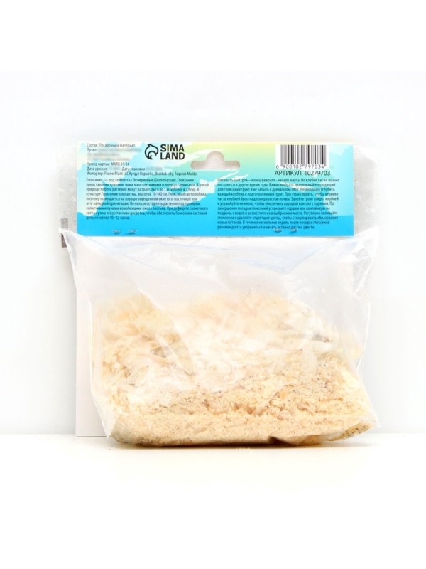 Глоксиния &laquo;Дефианс&raquo; многолетник, комнатный, луковица в пакете с перфорацией, р-р 5/6, 2 шт.