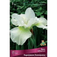 Ирис сибирский "Харпсвелл Хэппинесс", 1 шт, р-р I, Весна 2025