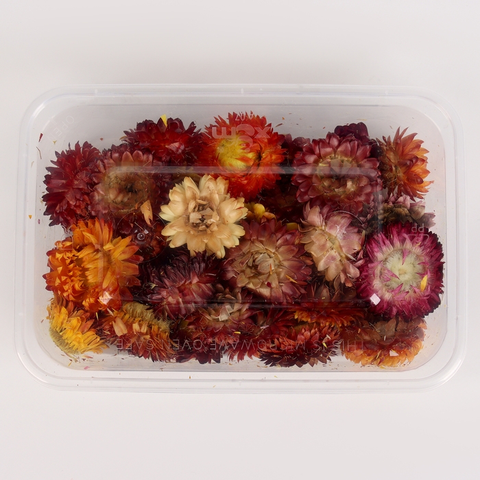 Свеча своими руками. Создание цветных свечей с цветочным декором &laquo;Краски Осени&raquo;, набор для творчества