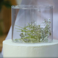 Фальшярус для торта, цилиндр, d=30 см, h=12 см, цвет прозрачный Фальшярус для торта, цилиндр, d=30 см, h=12 см, цвет прозрачный