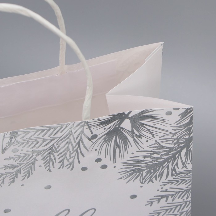 Пакет подарочный новогодний крафтовый &laquo;Серебро&raquo;, 22 х 25 х 12 см, Новый год