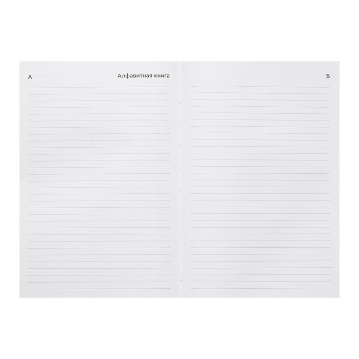 Ежедневник датированный 2024 года, А5, 176 листов, Attomex.Arkona, обложка бумвинил, ляссе, блок 70 г/м2, чёрный