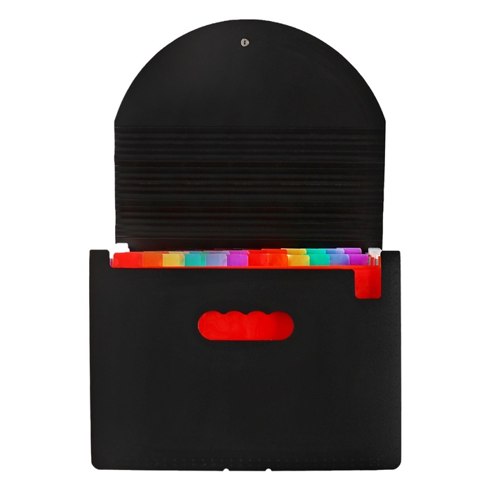 Папка на резинке А4, 24 отделения (разноцветные), чёрная Папка на резинке А4, 24 отделения (разноцветные), чёрная