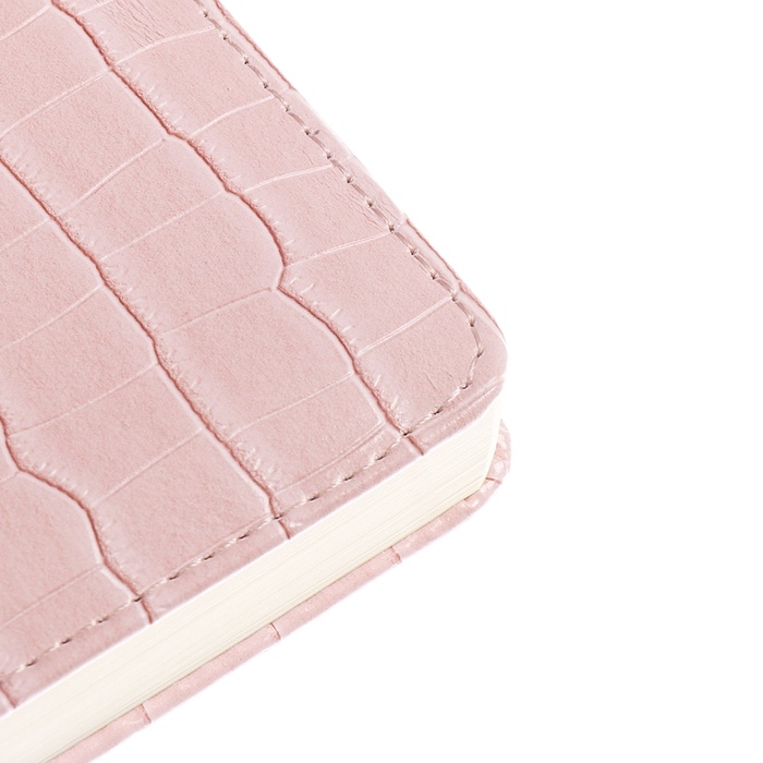 Ежедневник датированный 2025 A5 168 листов, deVENTE.Barbara, твердая обложка кожзам с поролоном, хлястик, перфорация, ляссе, блок 70, розовый Ежедневник датированный 2025 A5 168 листов, deVENTE.Barbara, твердая обложка кожзам с поролоном, хлястик, перфорация, ляссе, блок 70, розовый