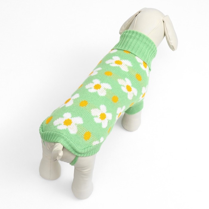 Свитер Свитер "Ромашки", размер M (ДС 30, ОШ 27, ОГ 40 см), зелёный