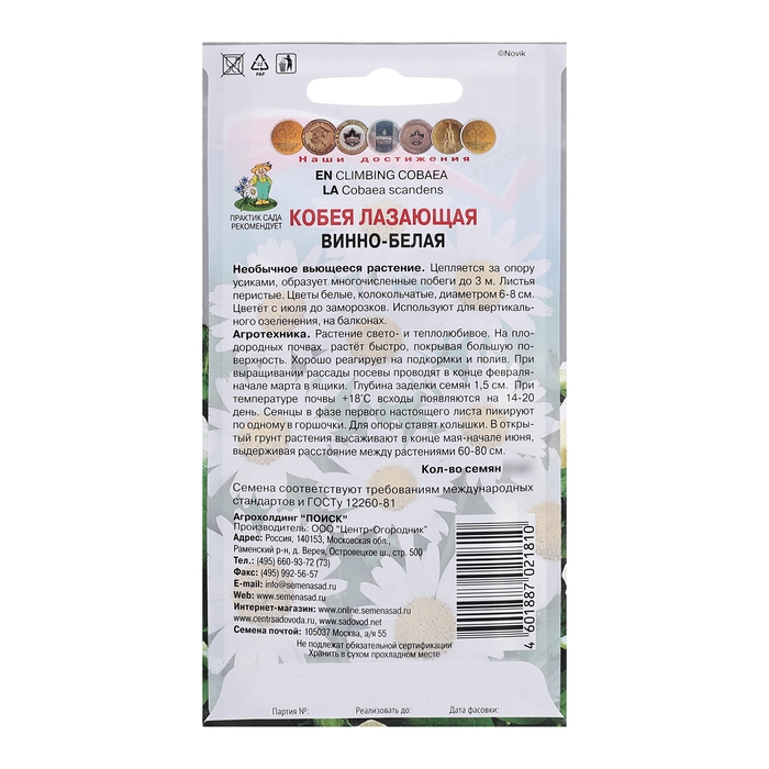 Семена цветов Кобея лазающая "Винно-белая", 5шт.
