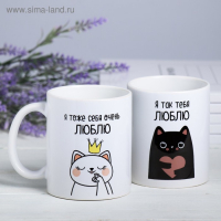 Кружки &laquo;Нам так повезло&raquo;, 300 мл, 2 шт.