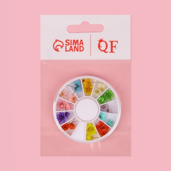 Сухоцветы для декора ногтей «Ромашки», объёмные, 12 видов, в футляре, разноцветные Сухоцветы для декора ногтей «Ромашки», объёмные, 12 видов, в футляре, разноцветные