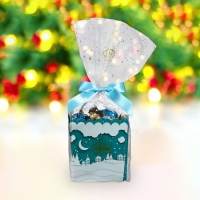 Новый год. Конфеты глазированные "Территория волшебства", МИКС, 170 г