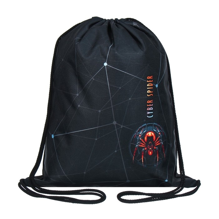 Мешок для обуви 435 х 360 мм, Stavia (плотность 600D с водоотталкивающей ПУ-пропиткой) "Паук"