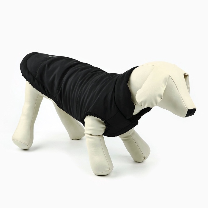 Одежда для собак. Куртка зимняя &laquo;Тёплая зима&raquo;, чёрная, размер S